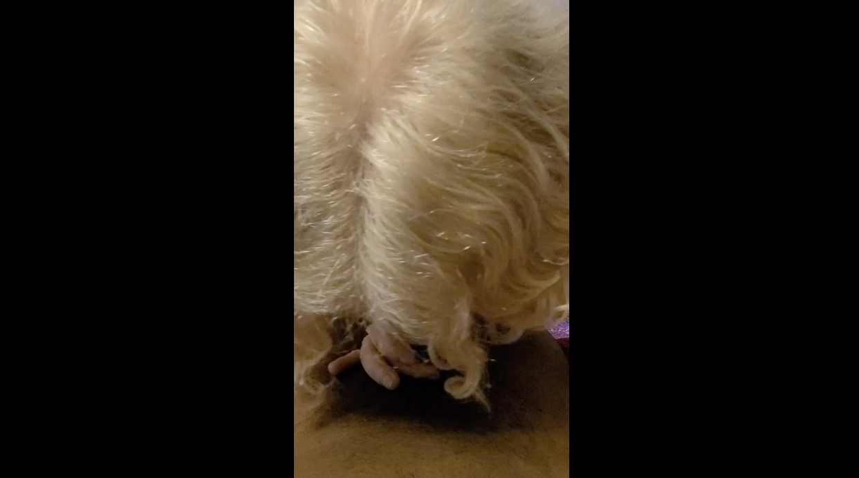 Screenshot 2026-03-06 at 11.38.01 AM